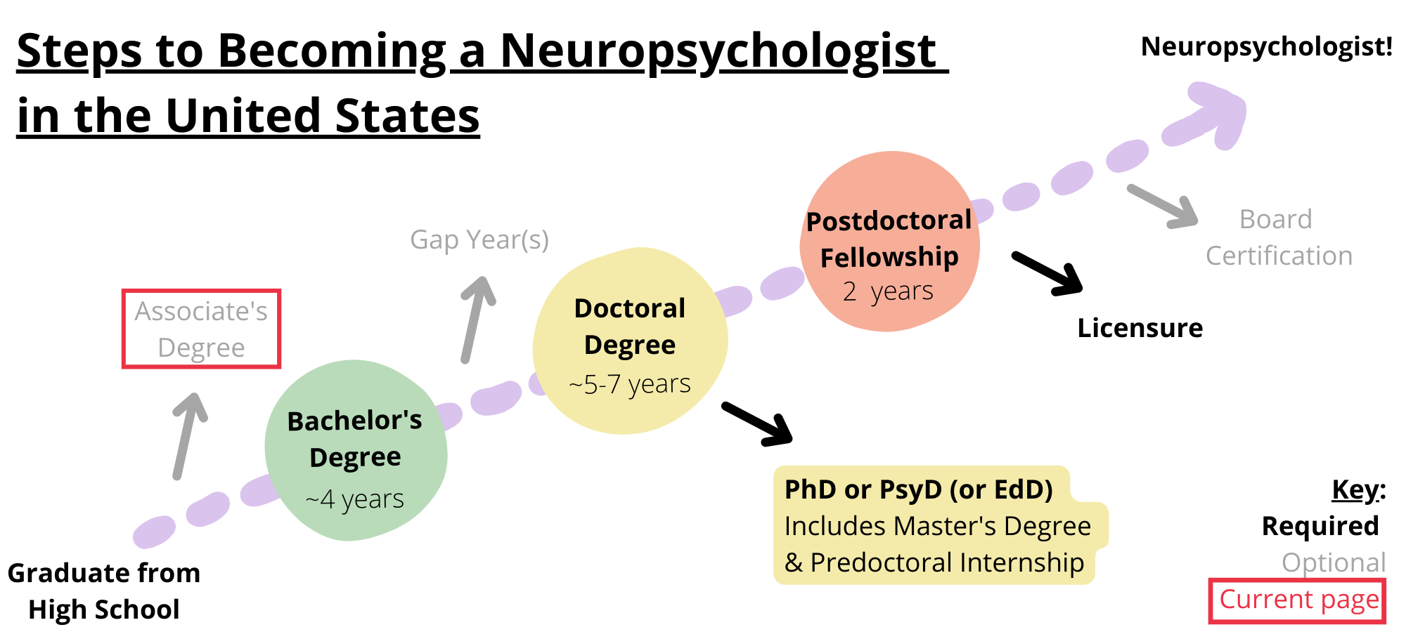Steps to becoming a neuropsychologist in the United States. Required steps include graduating from high school, obtaining a bachelor’s degree, obtaining a doctoral degree like a PhD, PsyD, or EdD, completing a postdoctoral fellowship, and licensure. Optional steps include obtaining an associate’s degree, taking a gap year, and board certification. You are on the step associate's degree.