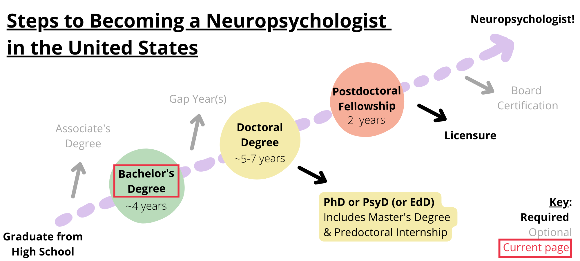 Steps to becoming a neuropsychologist in the United States. Required steps include graduating from high school, obtaining a bachelor’s degree, obtaining a doctoral degree like a PhD, PsyD, or EdD, completing a postdoctoral fellowship, and licensure. Optional steps include obtaining an associate’s degree, taking a gap year, and board certification. You are on the step bachelor's degree.