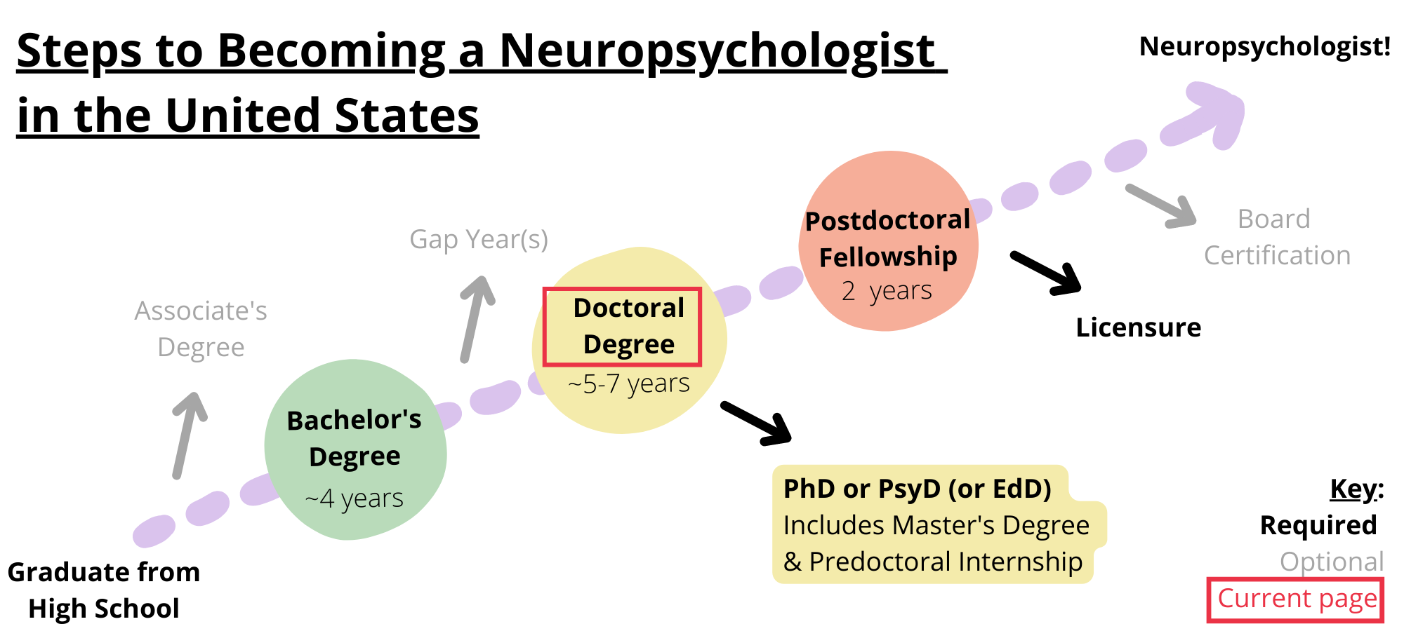 Steps to becoming a neuropsychologist in the United States. Required steps include graduating from high school, obtaining a bachelor’s degree, obtaining a doctoral degree like a PhD, PsyD, or EdD, completing a postdoctoral fellowship, and licensure. Optional steps include obtaining an associate’s degree, taking a gap year, and board certification. You are on the step doctoral degree