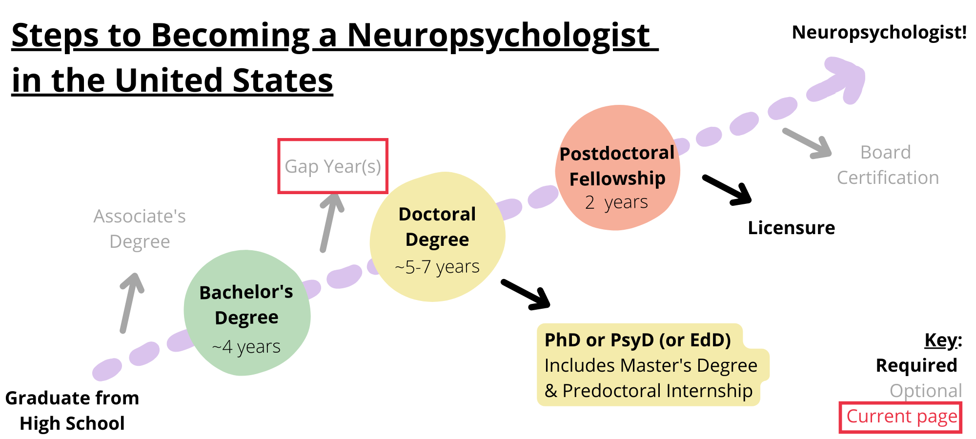Steps to becoming a neuropsychologist in the United States. Required steps include graduating from high school, obtaining a bachelor’s degree, obtaining a doctoral degree like a PhD, PsyD, or EdD, completing a postdoctoral fellowship, and licensure. Optional steps include obtaining an associate’s degree, taking a gap year, and board certification. You are on the step gap year