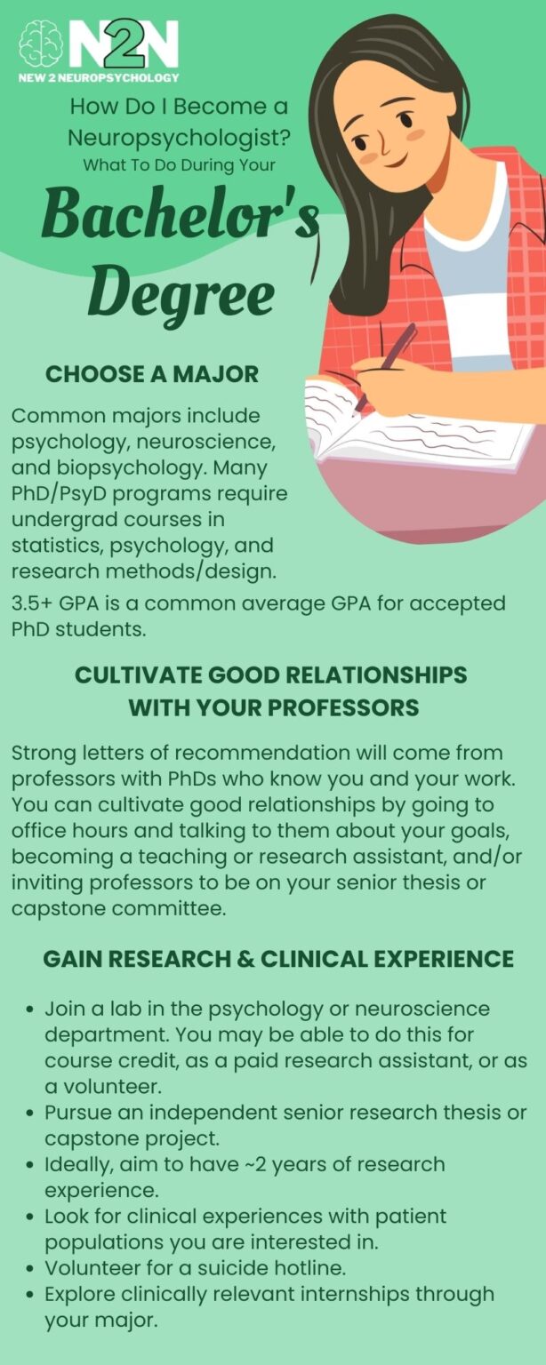 What to do during your bachelor’s degree. Some undergraduate majors for neuropsychologists include psychology, neuroscience, and biopsychology. Many PhD/PsyD programs will require undergraduate courses in statistics; clinical, social, and developmental psychology; and research methods/design. Earn good grades in your classes (3.5+ GPA is a common average GPA among accepted PhD students).