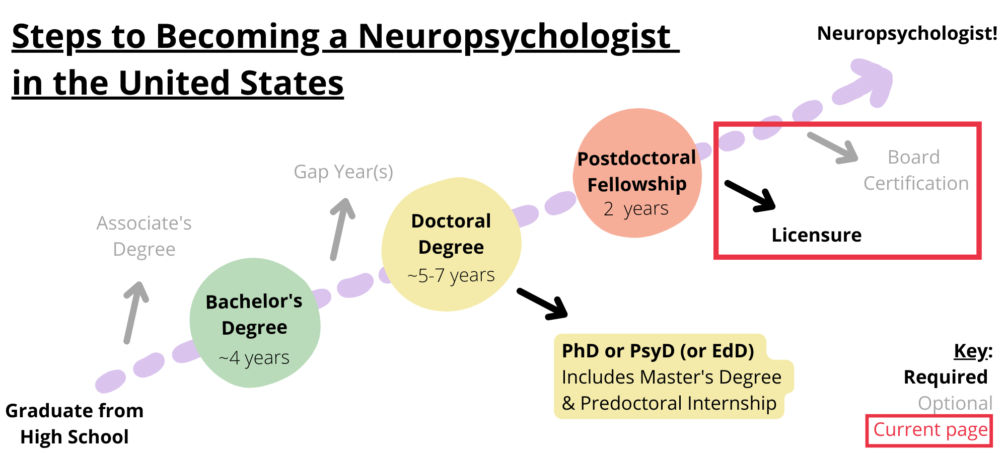 Steps to becoming a neuropsychologist in the United States. Required steps include graduating from high school, obtaining a bachelor’s degree, obtaining a doctoral degree like a PhD, PsyD, or EdD, completing a postdoctoral fellowship, and licensure. Optional steps include obtaining an associate’s degree, taking a gap year, and board certification. You are on the step licensure and board certification