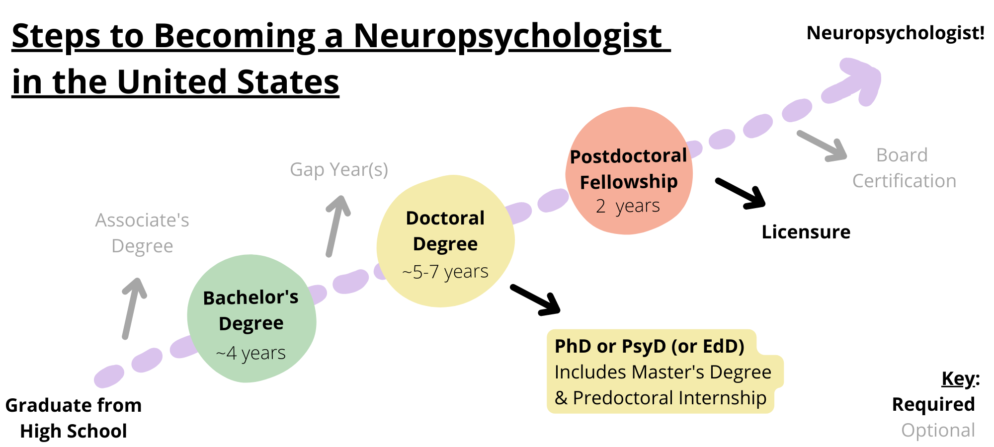Steps to becoming a neuropsychologist in the United States. Required steps include graduating from high school, obtaining a bachelor’s degree, obtaining a doctoral degree like a PhD, PsyD, or EdD, completing a postdoctoral fellowship, and licensure. Optional steps include obtaining an associate’s degree, taking a gap year, and board certification.