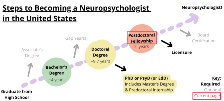 Postdoctoral Fellowship – New2Neuropsychology